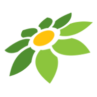 WINK MOD APK